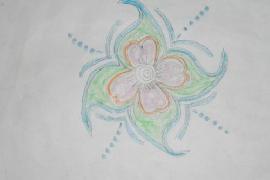 NSS Event 1-1-2010